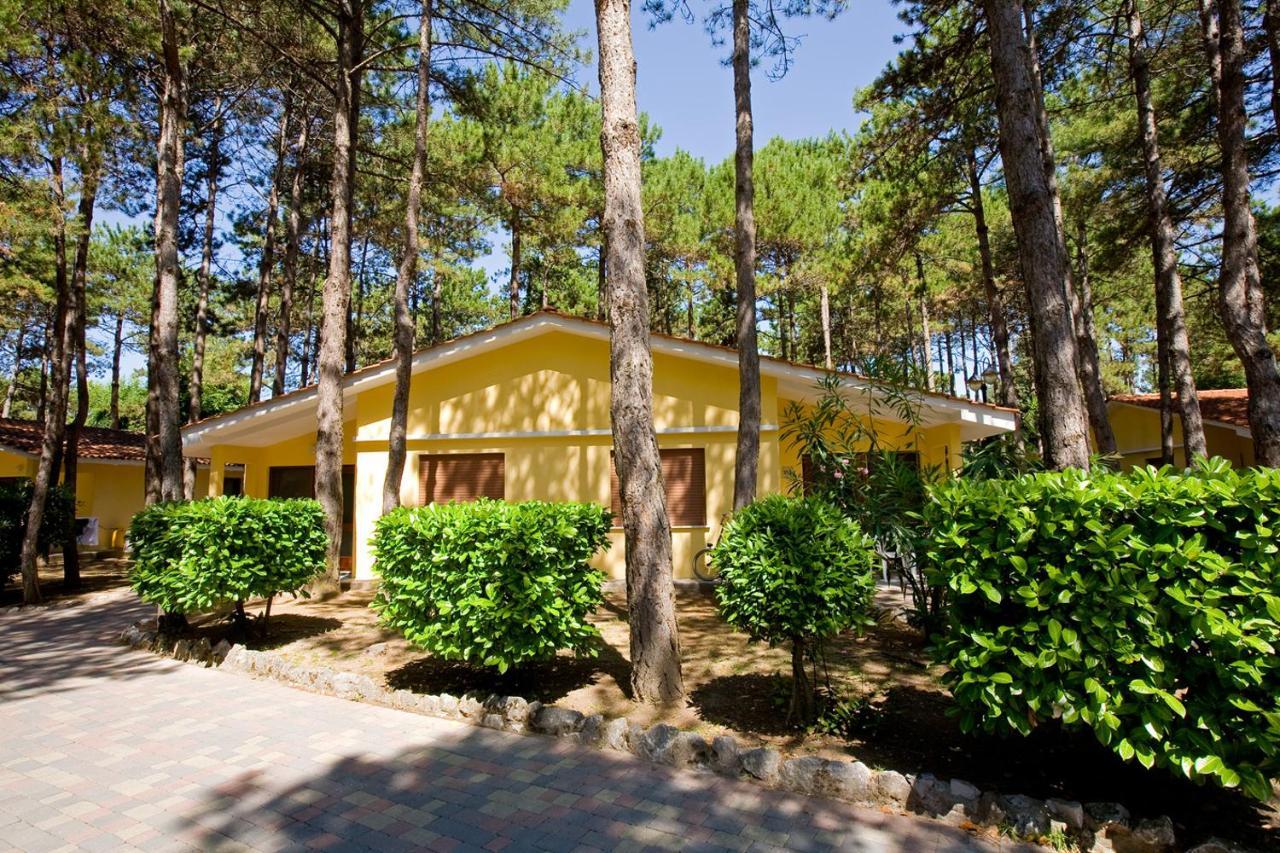 Villaggio Turistico Internazionale Bibione Luaran gambar